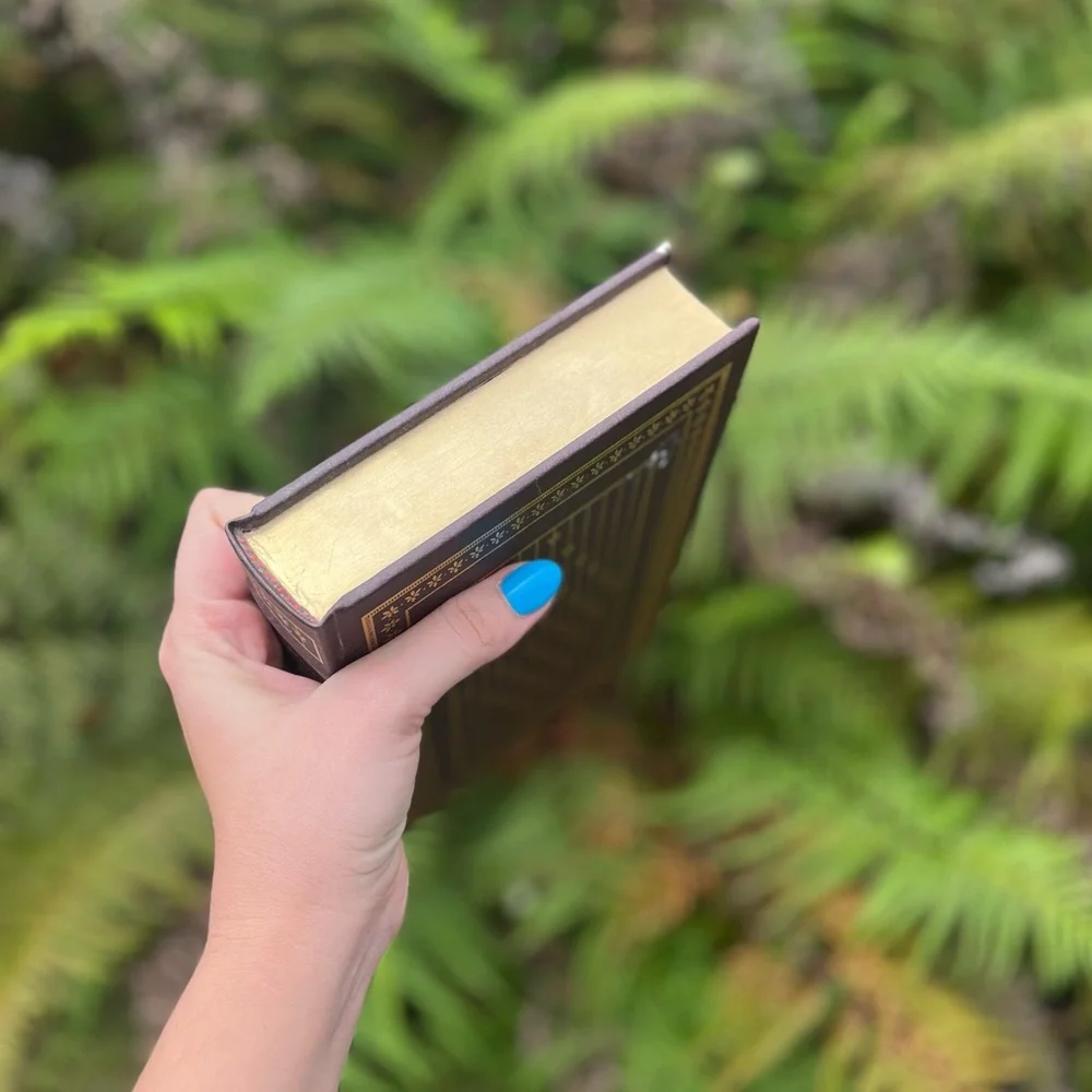 Madame Bovary Leatherbound Book